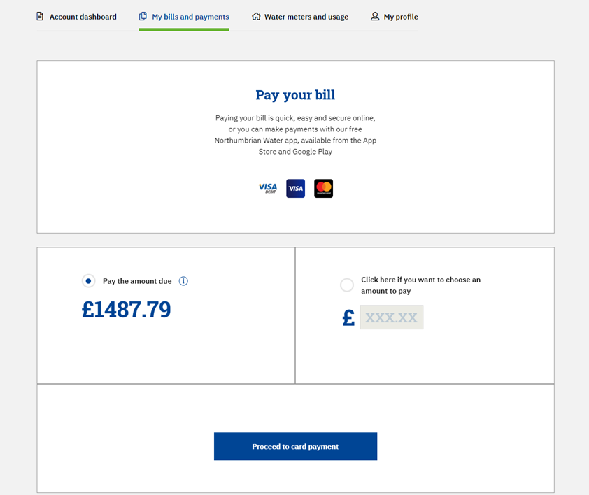 screenshot showing choose an amount to pay