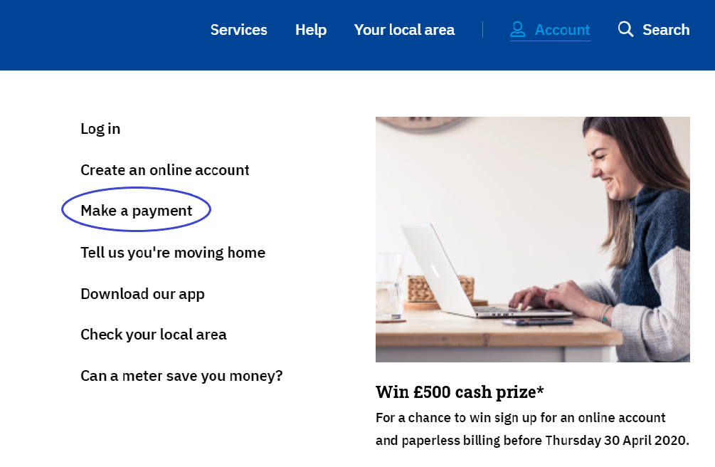 screenshot showing link to make a payment