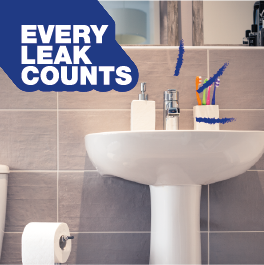 Every Leak Counts