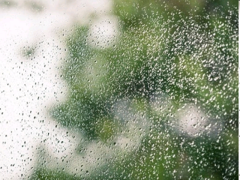 Rain on window