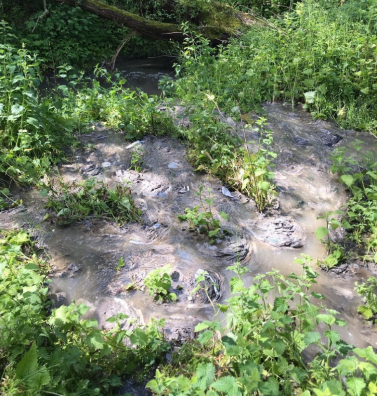 sewer flooding in garden