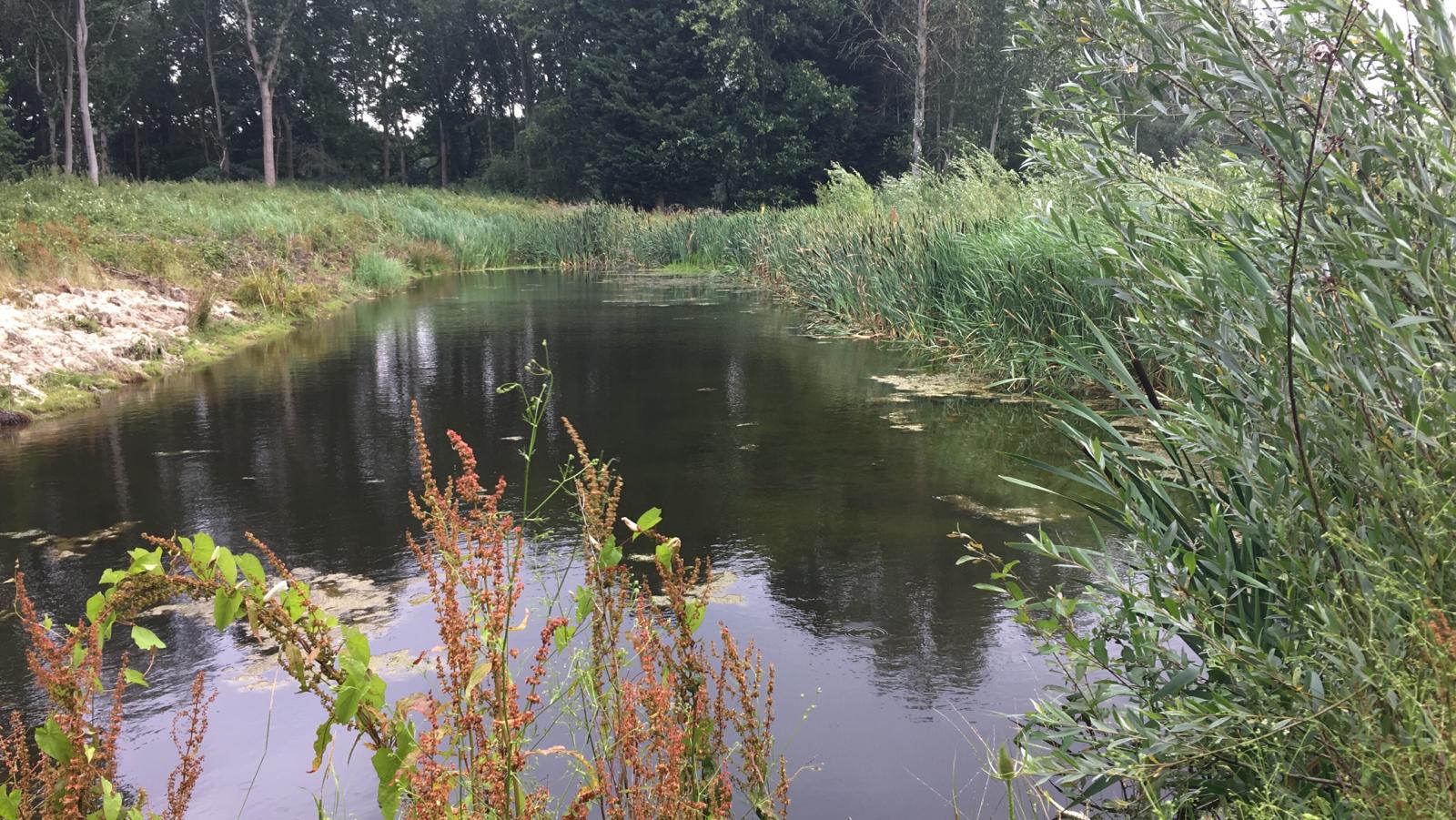 Pipe down – sewer work clears the way for River Team pipe bridge removal