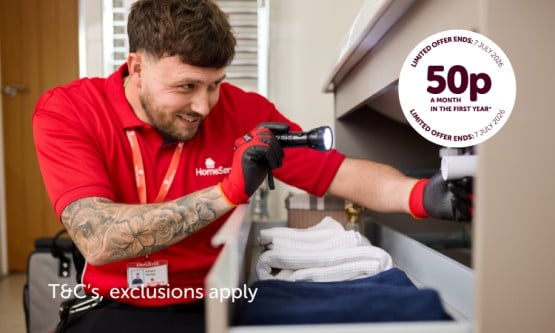Man in HomeServe uniform shining a torch under a sink