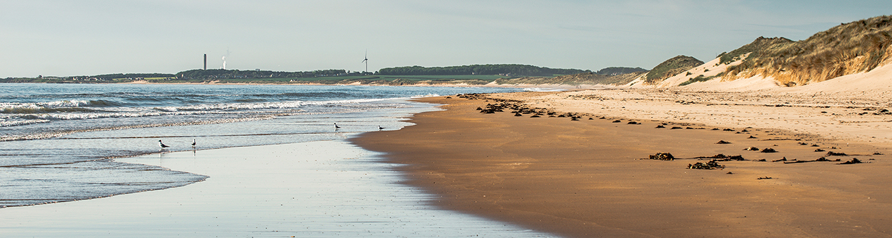 Druridge Bay South