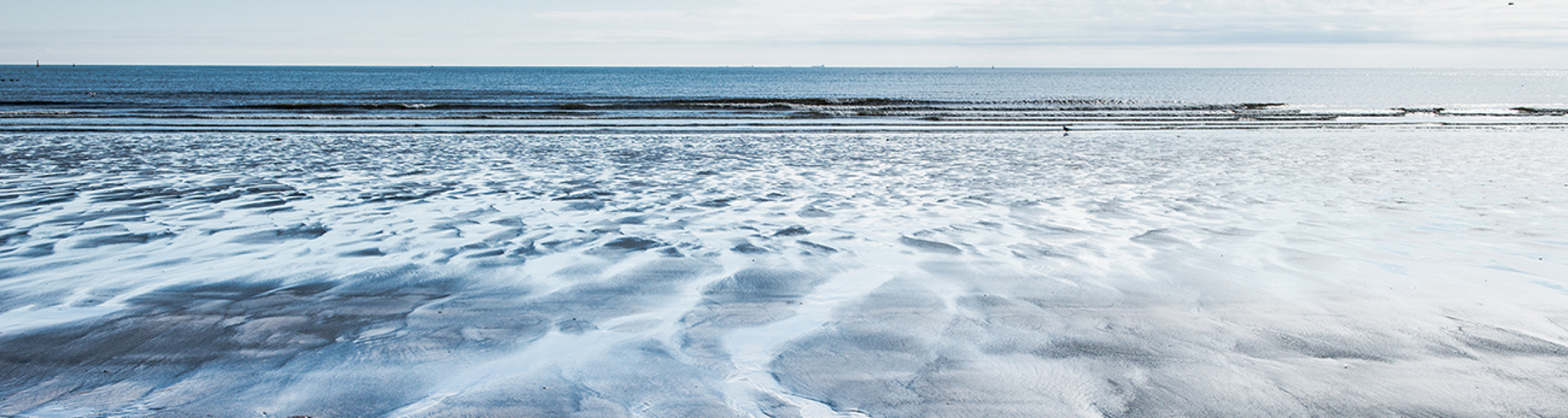 Seaton Carew North Gare