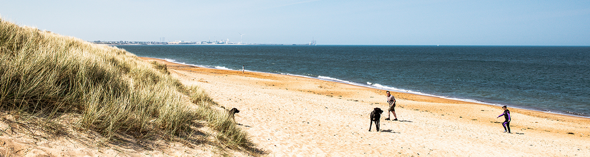 Seaton Sluice