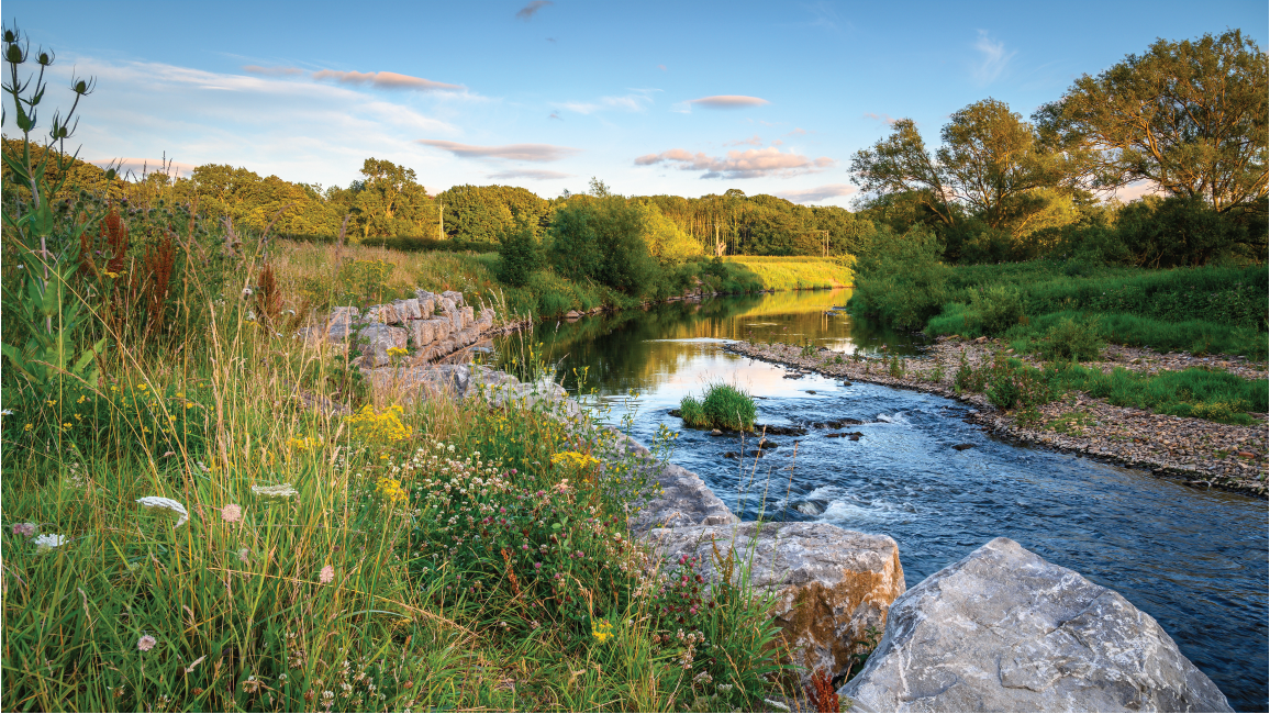 River with rocks, trees and blue sky