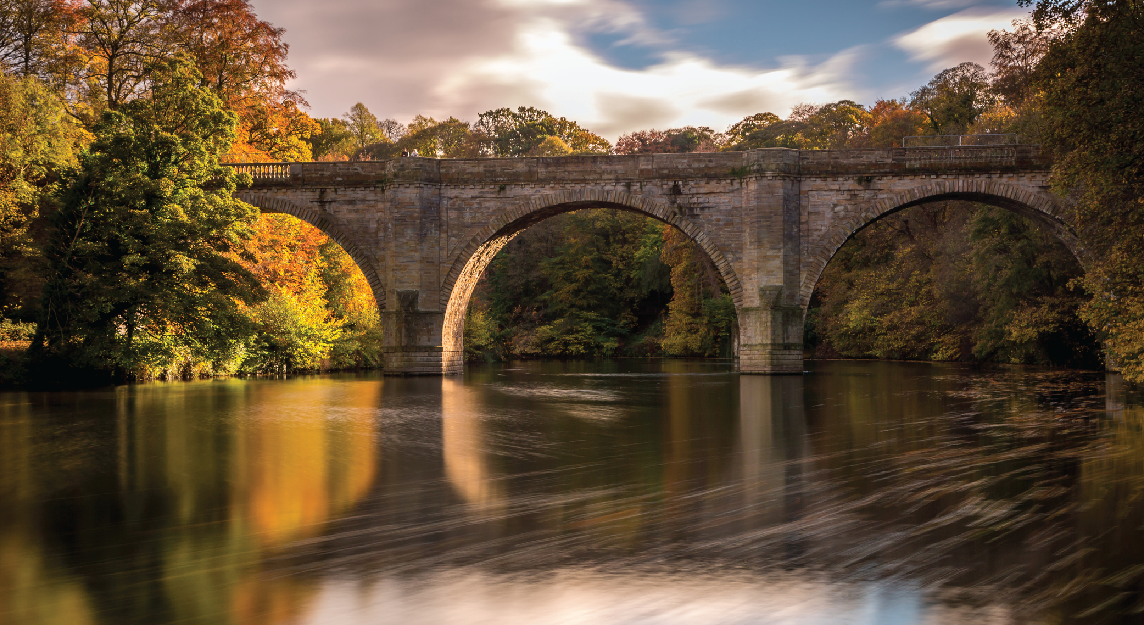 Bridge over river with trees