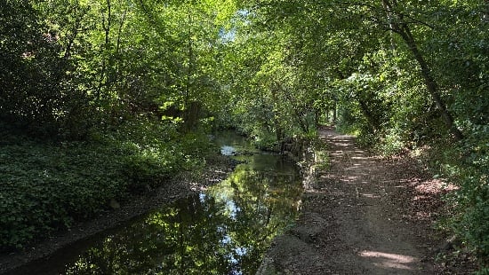 Ponteland