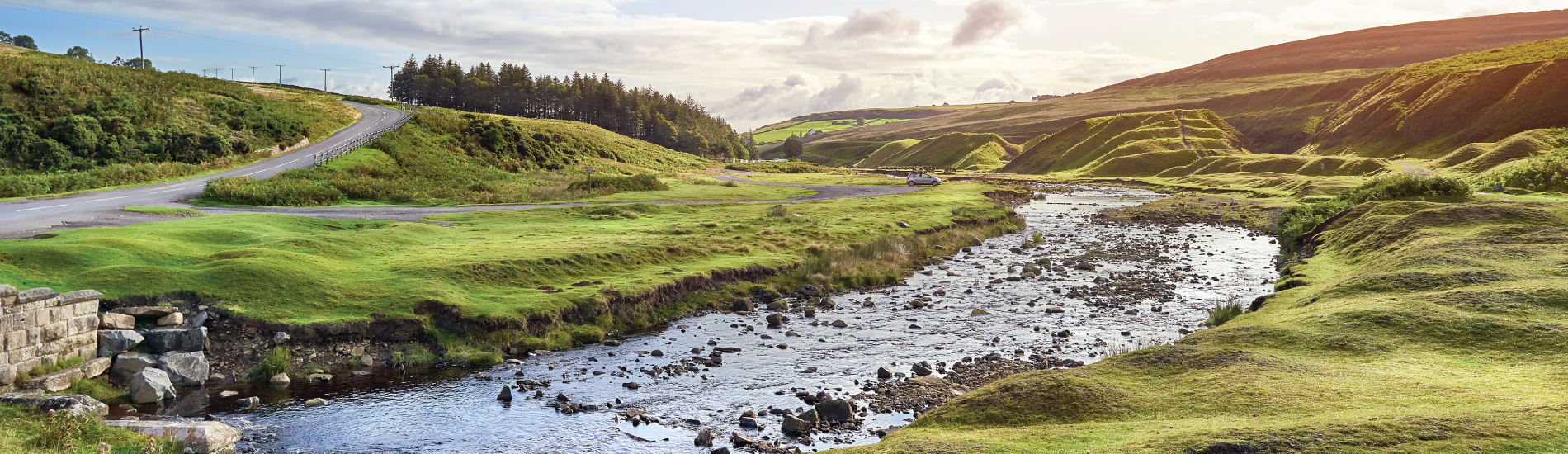 Weardale - Local Action