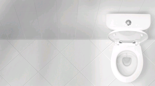 White toilet