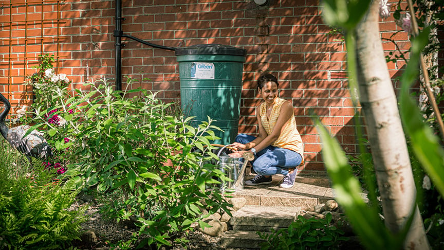 Get to grips with greenery