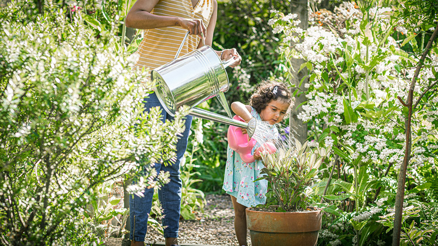 Keen gardener?