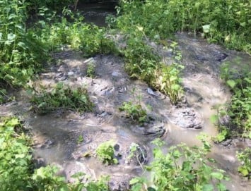 What is sewer flooding