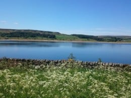 Total Water Solutions