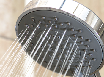 Shower head